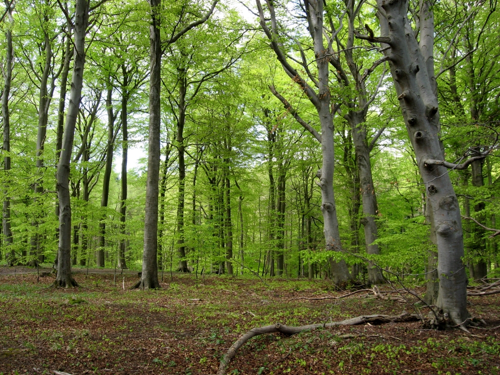 Duitsland Elly (16)